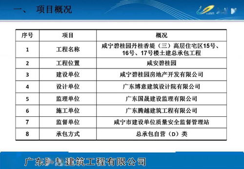 項目策劃與公關服務 專欄策劃方案模板